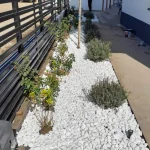 garden landscaping plant bed after side