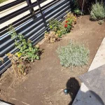 garden landscaping plant bed before