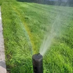 garden landscaping sprinkler view